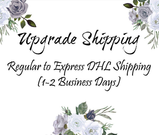 Shipping Upgrade: from standard to DHL EXPRESS shipping (1-2 business days